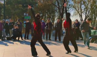 科目三舞蹈. 科目三舞蹈.